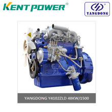 High Performance Economical Diesel Engine Yangdong Y4102zld 48kw for Genset